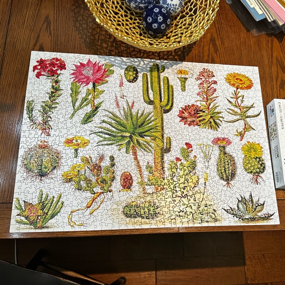 🧩 EUC New York Puzzle Company 1000 pc Jigsaw Puzzle- ‘Cacti - Cactus’ - Picture 2 of 7